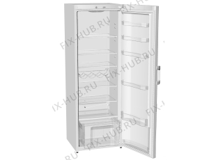 Холодильник Gorenje R60395HW (263529, HS3966) - Фото